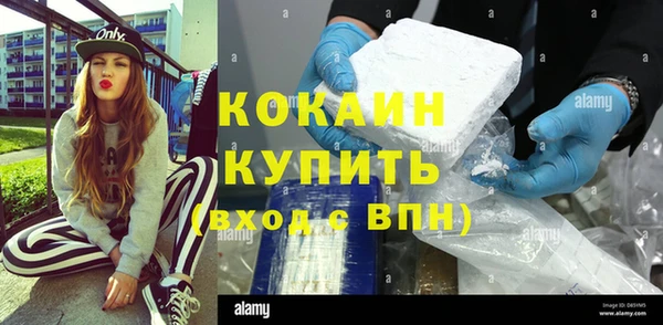 шишки Киренск