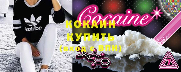 шишки Киренск