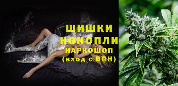 шишки Киренск