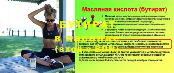 шишки Киренск