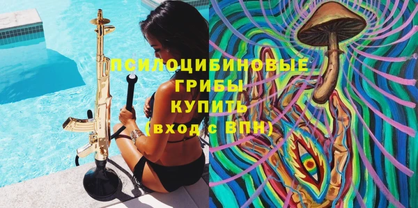 шишки Киренск