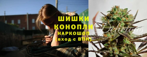 шишки Киренск