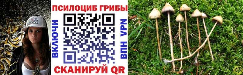 Псилоцибиновые грибы MAGIC MUSHROOMS  Туймазы 