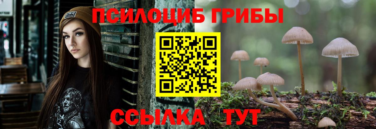 дарнет шоп  Галлюциногенные грибы ЛСД  Вход с VPN  Туймазы  Галлюциногенные грибы прущие грибы 