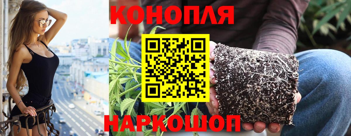 МАРИХУАНА гибрид Туймазы